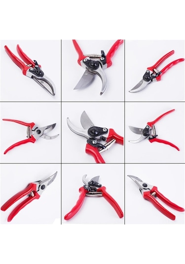 Pazly Meyve Makası, Makası, Makası Budama Budama Bahçe Ağaçları Cq