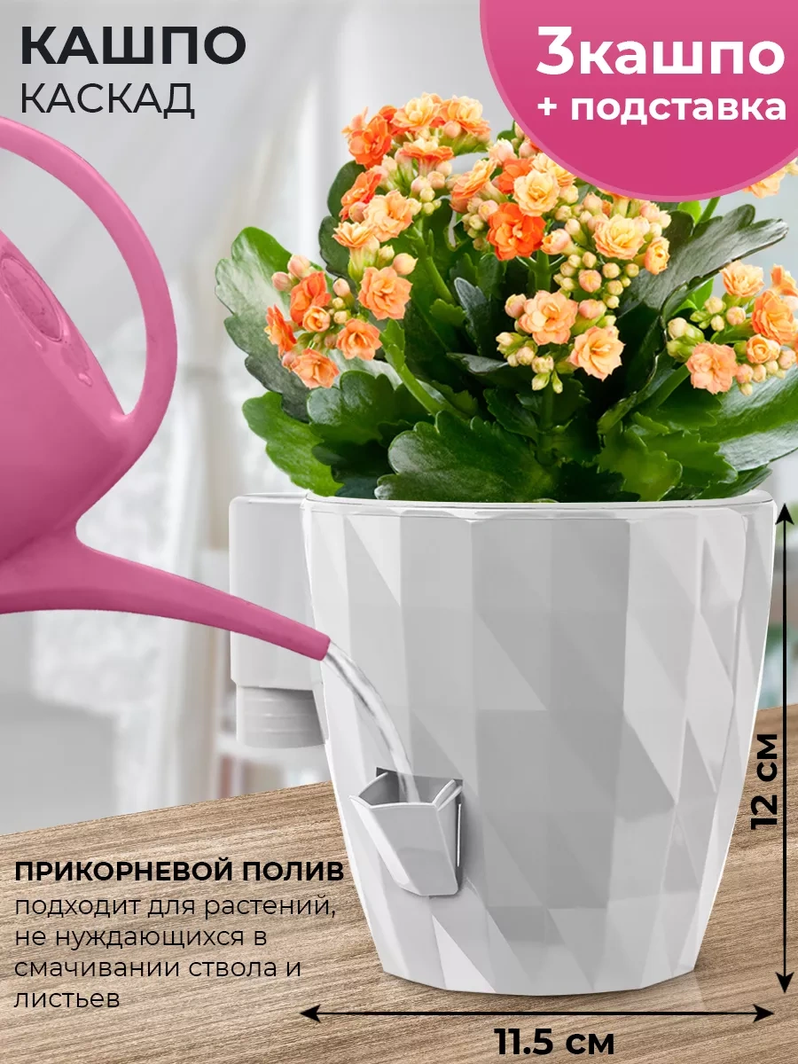 La Decoro Sukulent Saksıları, Menekşe Saksıları, Kaskad Saksılar. 120462503