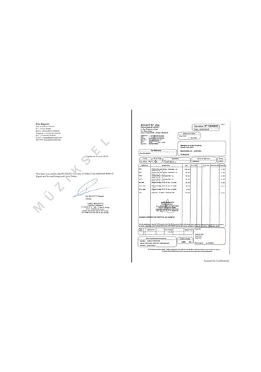 Mavi Kuşak Sol Klarnet Kamışı 3 Adet No:1