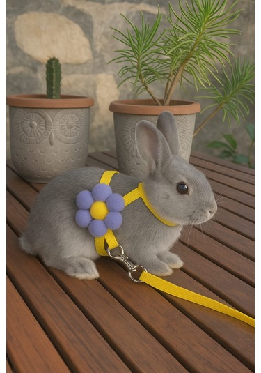 Mıt Tavşan Bel Tasması Çiçekli