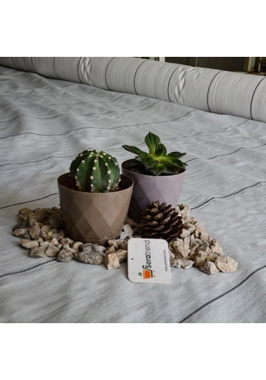 Siyah Sulzer Kumaş Sera Taban Örtüsü Jüt Blueberry Peyzaj Uygulam