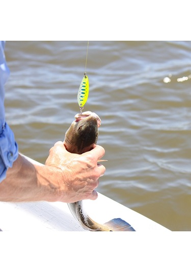 Tenfowee A01 20 Adet Metal Yem Seti - Renkli Parlak Flasher, Balık Çekici, İki Kanal Ve Kutulu Olta Takımı