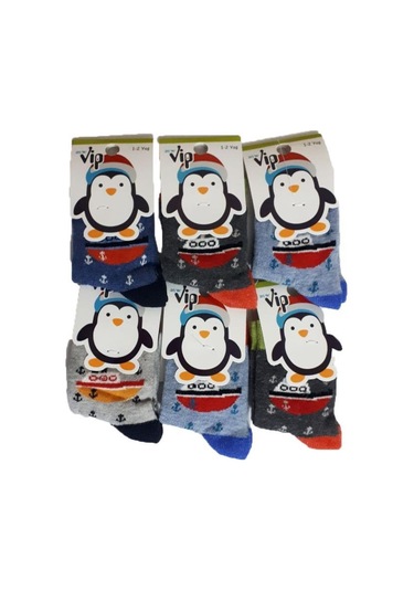 Hepsinerakip Lababy Renkli Desenli Pamuklu Erkek Bebek/Çocuk Çorabı 6 Lı Paket