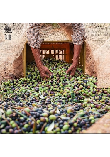 Tariş 1915 Naturel Sızma Zeytinyağı 3 x 2 L