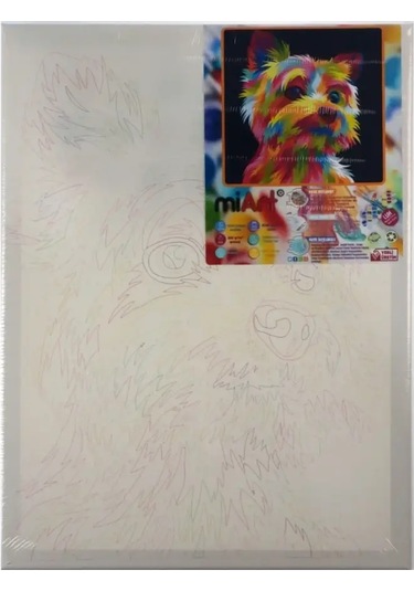 Miart Sayılarla Boyama Seti Sevimli Dost 30x40 Cm