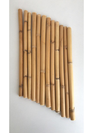 Bambu 30 Cm 12 Li Paket 01