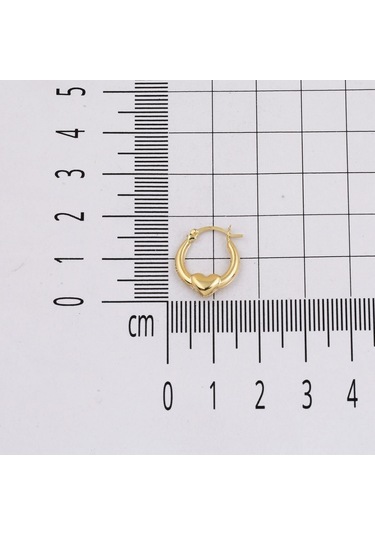 Orta Boy 14 Ayar Altın Kalp Halka Küpe Kpdl35301