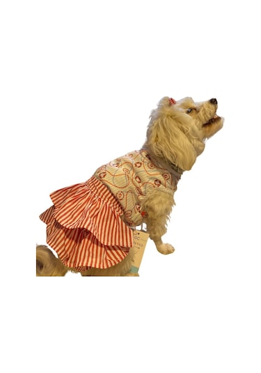 Gedyco Navy Red Küçük Irk Köpek Elbisesi