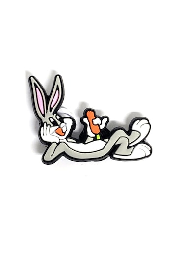 Crocs Terlik Süsü & Renkli Aksesuar Jibbitz (474782410) Çok Renkli