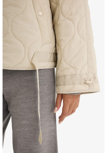 Defacto Su Geçirmez Regular Fit Çıtçıtlı Fermuarlı Kapitoneli Mont F3184ax25wner128 Ekru Defacto Su Geçirmez Regular Fit Çıtçıtlı Fermuarlı Kapitoneli Mont F3184ax25wner128 Ekru