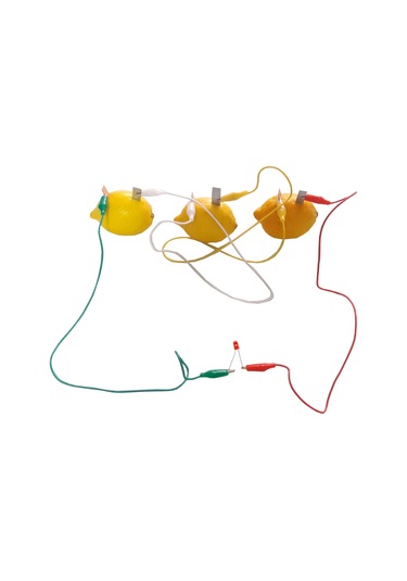 Ece Limondan Pil Yapma Deney Seti Sebze Meyveden Pil Yapma