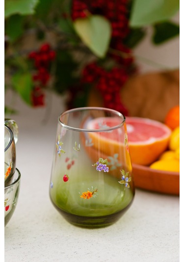 Rakle Jardin 4'lü Su Bardağı Seti 425 Cc Renkli