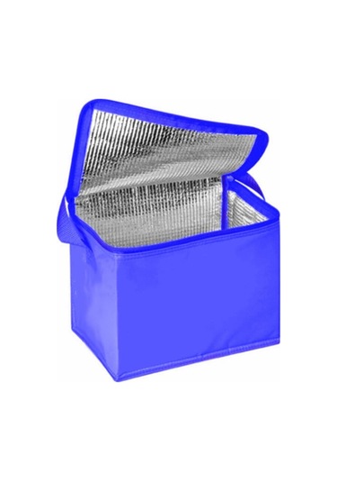 Soğuk / Sıcak Tutucu Özel Yalıtımlı Termos Çanta Araç İçi Kamp Plaj Piknik Omuz Çantası Kolay Taşıma Mavi