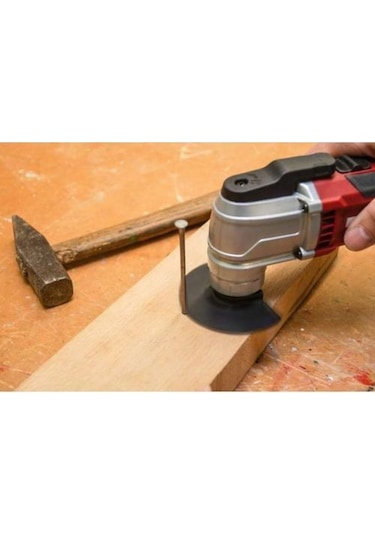 Einhell TE-MG 300 EQ Raspalama Makinesi – 4465150