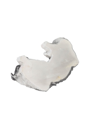 Geeroyoo Sintetik Reçine Kenar Çoban Köpeği Heykeli - Zarsız, Dayanıklı Bahçe Dekorasyonu, Canlı Tasarım, Ev Ve Bahçe İçin Mükemmel Hediye