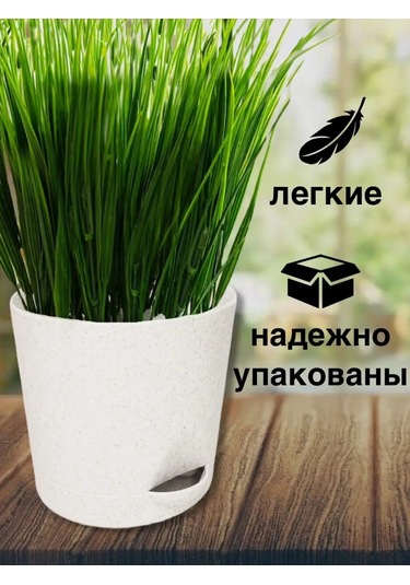 Interm Kaktüs, Menekşe, Çiçekler İçin Mini Saksı Ve Fide Kasesi 94877527