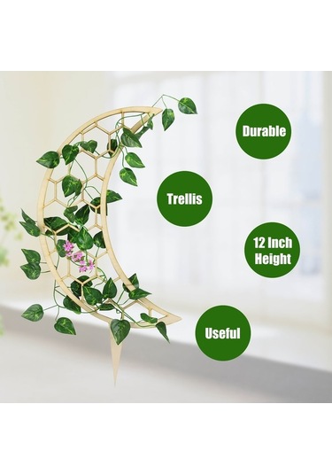 Ulzyvf Bitki Çerçevesi - Tırmanma & Sarkma İçin Ahşap 30cm Bahçe Destek