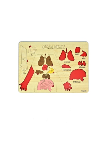Ahşap Organlarımız Bultak Puzzle Eğitici Oyuncak