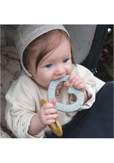 Bibs Baby Bitie Diş Kaşıyıcı Sage 3100250