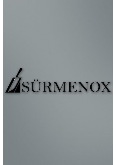 Sürmene Silver Serisi Gri Sap Mutfak Bıçak Börek Bıçağı Pizza Pide Bıçağı 2 Li Set Srm-03 Gri