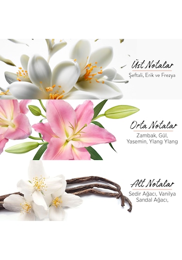 Privacy Limited Edition Kadın Parfüm EDT 50 ML