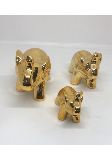 Lebron Fil Ailesi 3'lü Set Gold