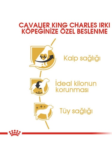 Royal Canin Cavalier King Charles Yetişkin Köpek Maması 1500 G