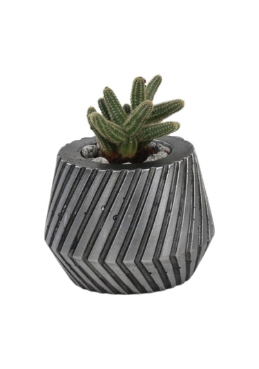 Saksı Çiçek Kaktüs Saksısı Lüx 13 Cm Mekanik Dişli Desen Saksı Çiçeklik - Gümüş Eskitme