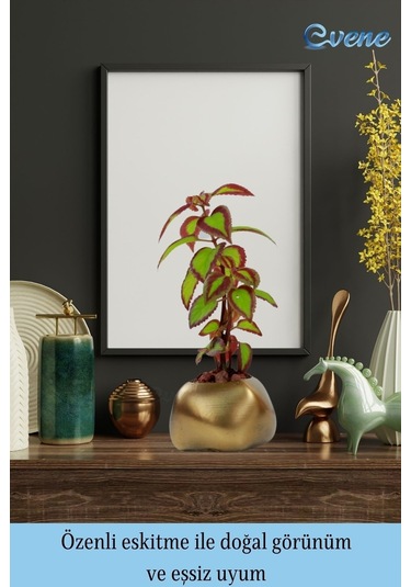 Saksı Çiçek Kaktüs Saksısı Lüx 14 Cm Elips Desenli 3'lü Set Çiçeklik - Altın Eskitme