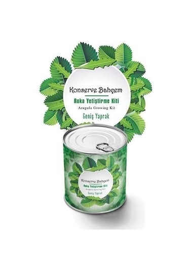 Buffer Konserve Bahçem Evde Konservede İri Yapraklı Roka Yetiştirme Kiti Mavi