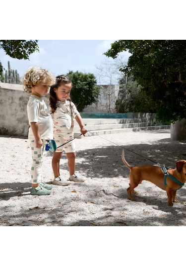 Lassig Uv Korumalı Mayo Beach Dog Orange Dark Sea Çok Renkli