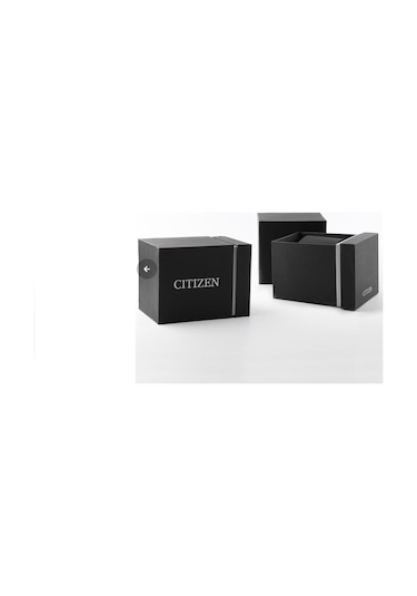 Citizen Eco-Drive Ew5590-62a Kadın Kol Saati