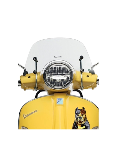 Altın Tasmalı Pitbull Araba, Motorsiklet, Kask, Laptop, Cam Sticker 14x12 Cm