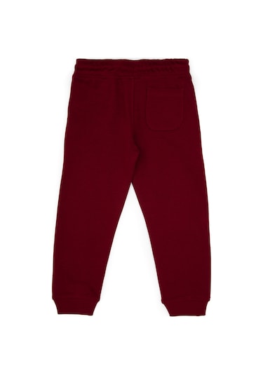 U.s. Polo Assn. Erkek Çocuk Bordo Eşofman Altı 50314026-vr014 Bordo