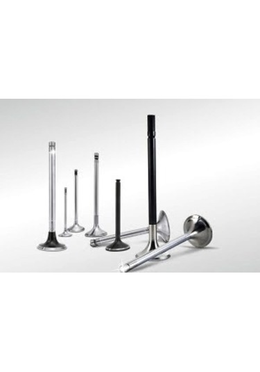 98468338/98418161 Subap Takımı (Emme/Egzos) Ducato 2,5 TD SUPSAN