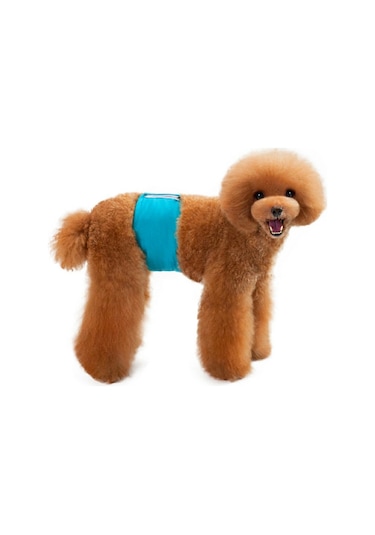 Pet Erkek Köpekler İçin Düz Renk Fizyoloji Pantolon Kibar Ve Taciz Önleyici Köpek Güvenlik Pantolonu, Boyut: Xl Camgöbeği