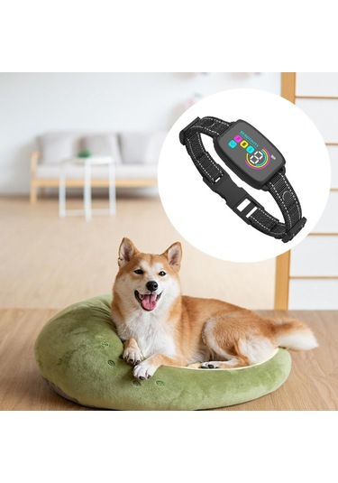 Homyl Yavru Küçük Orta Büyük Köpekler Için Şarj