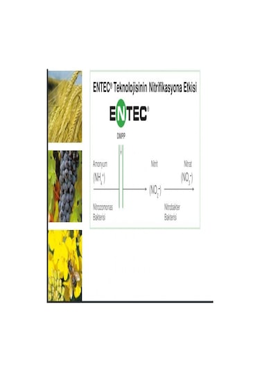 Entec 25 - 15 Yeşil Gübre 1 KG. Yavaş SalınıMLı Gübre. Akıllı Gü