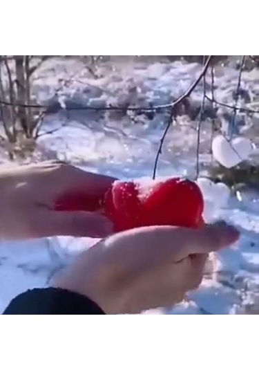 Homyl Kalp Şekli Kar Topu Makinesi Çocuk Açık Kartopu Kum Kırmızı