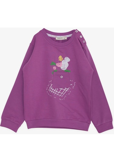 Breeze Kız Çocuk Sweatshirt Cepli Çiçek Baskılı 1-4 Yaş, Eflatun-eflatun Eflatun