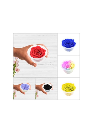 Şoklanmış Solmayan Gül. 5 CM - Kırmızı