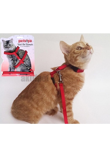 Petviya Ayarlanabilir Kedi Göğüs Bel Tasması Kırmızı