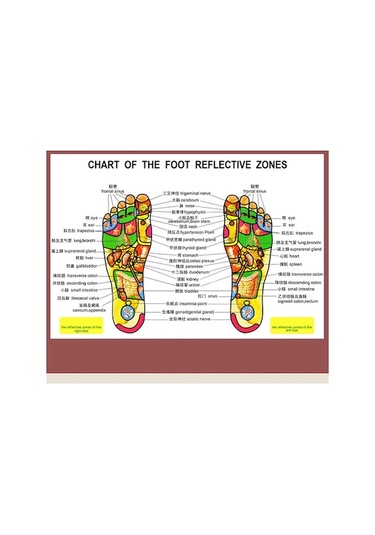 Artfulabode Yetişkinler Ve Yaşlılar Terlikleri Suntek Rahatlatıcı Masaj Akupunktur Siyah