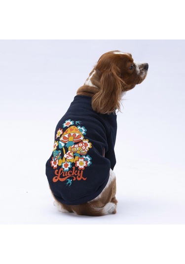 Siyah Chongqing Kedi Köpek Sweat- Kedi Köpek Kıyafeti