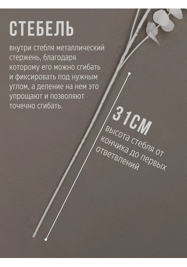 Wisty Yapay Okaliptüs Beyaz, Dekorasyon İçin Dal 80 Cm 348725780 Beyaz