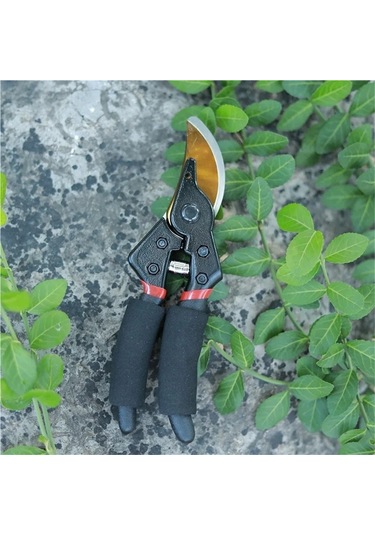 Jialan Bahçe Budama Makası Sk5 Bıçak Budama Makası Bonsai Meyve