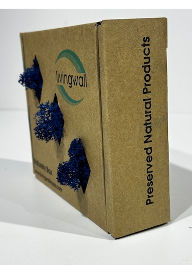 Reindermoss Şoklanmış Norveç Yosunu Terarium Yosunu Mavi 100 Gr.