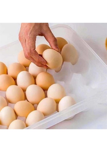 30lu Yumurta Saklama Kabı Şeffaf