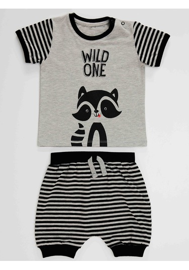 Denokids Rakun Erkek Bebek T-shirt Kısa Pantolon Takım Gri