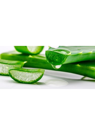 Primline Aloe Vera Ortopedik Yaylı Yatak 70 x 150 CM